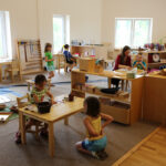 The power of the environment: Insights into Montessori classrooms