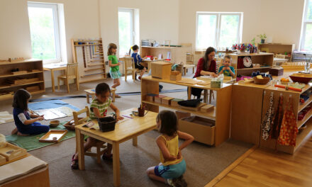 The power of the environment: Insights into Montessori classrooms