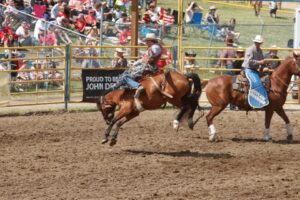 Airdrie Pro Rodeo: Behind the Scenes with Riders, Ropers, and Wranglers