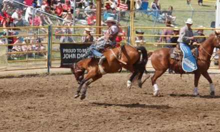 Airdrie Pro Rodeo: Between riders, rappers and wranglers